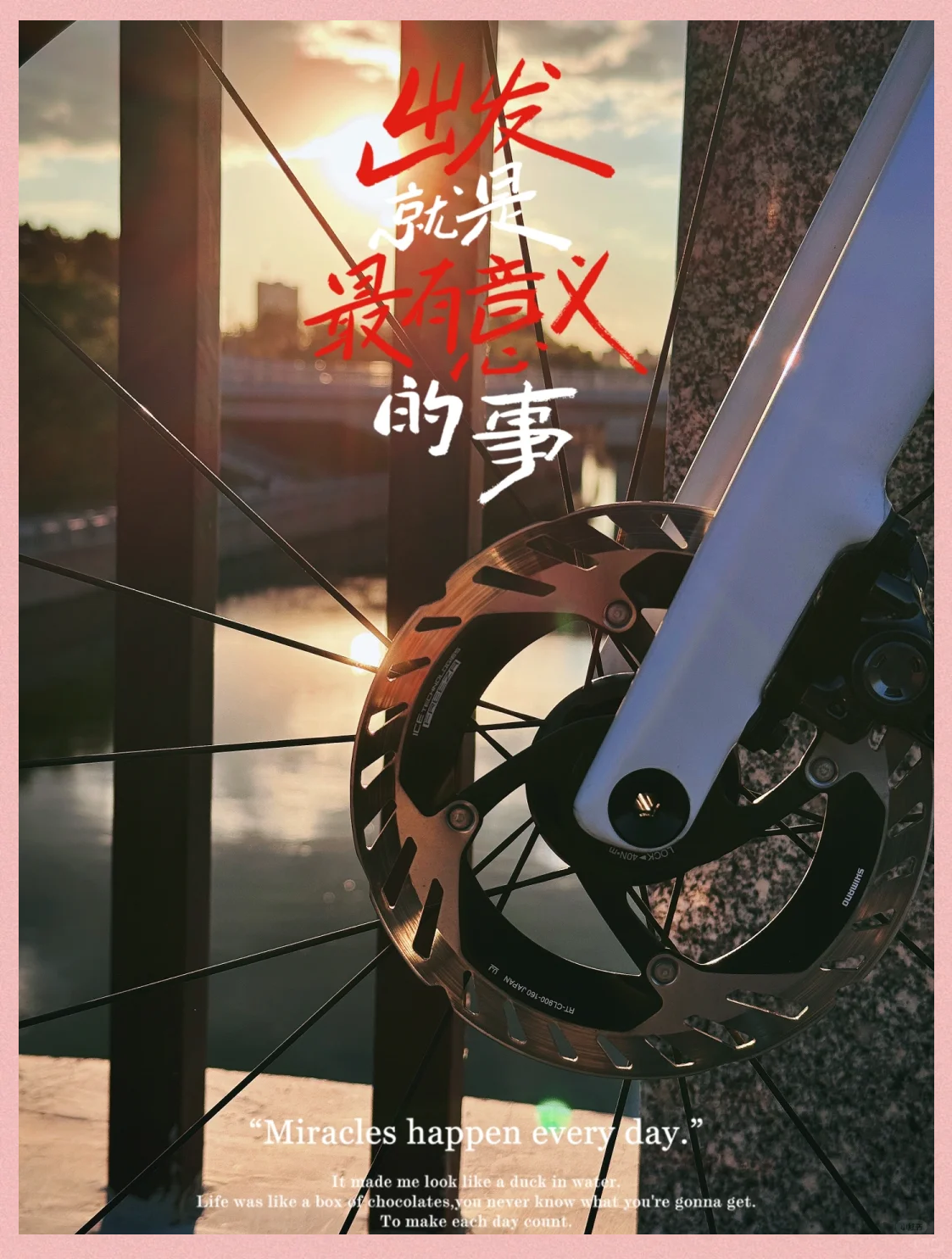 关于金秋赏叶骑行赛，运动中感受季节变迁的信息