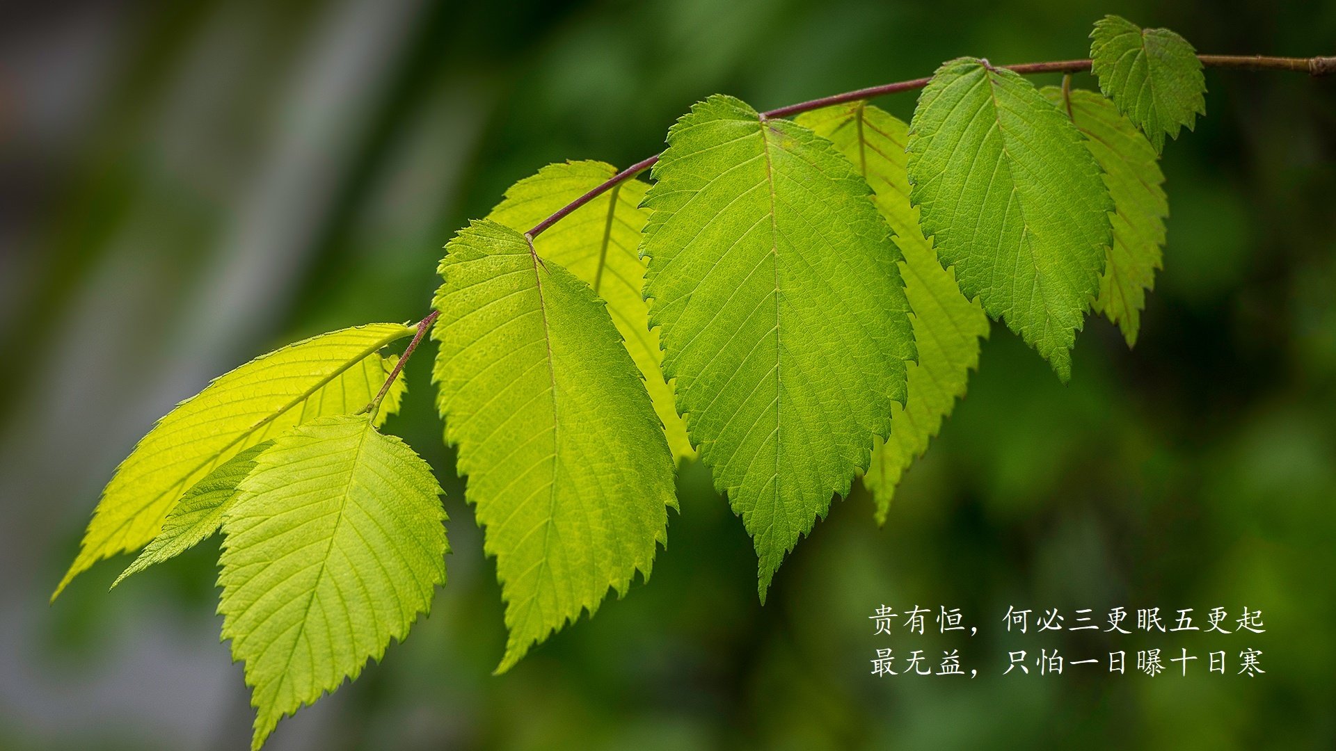 精彩回忆：赛场那些永难忘怀的瞬间你还记得吗？，赛场上有没有让你印象特别深刻的事情