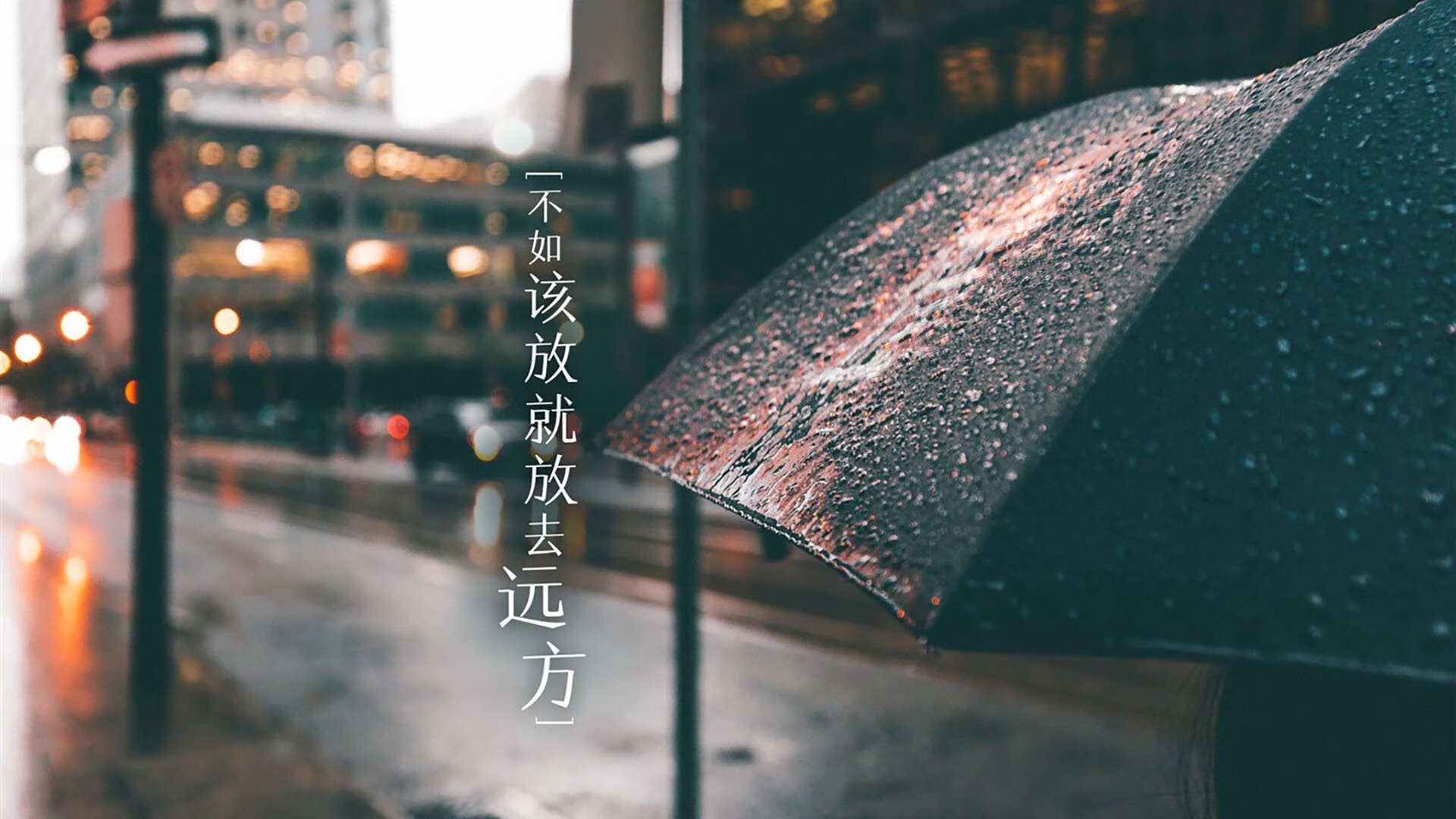 火箭再胜人，十胜九负稳坐西部榜首，火箭再胜国王集锦