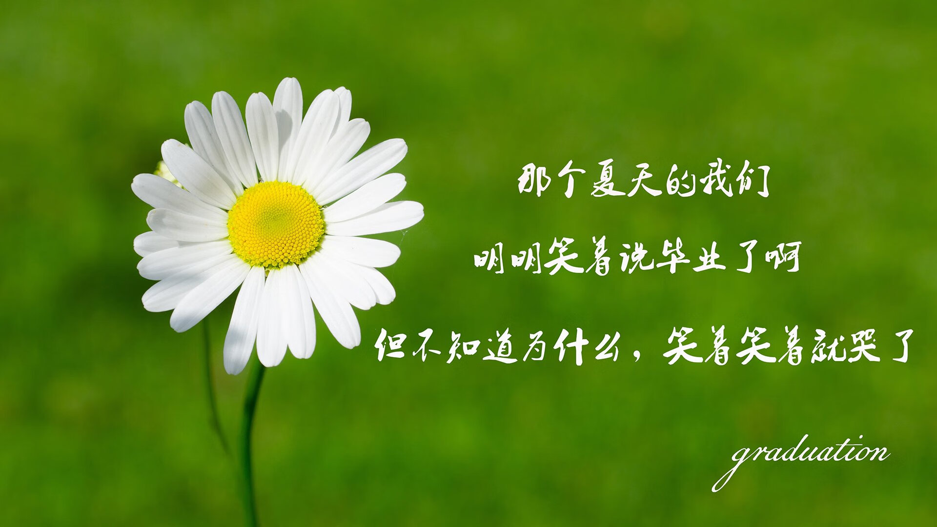 DOTA2战队内部训练赛强度不亚于正式比赛，dota2战队you know who