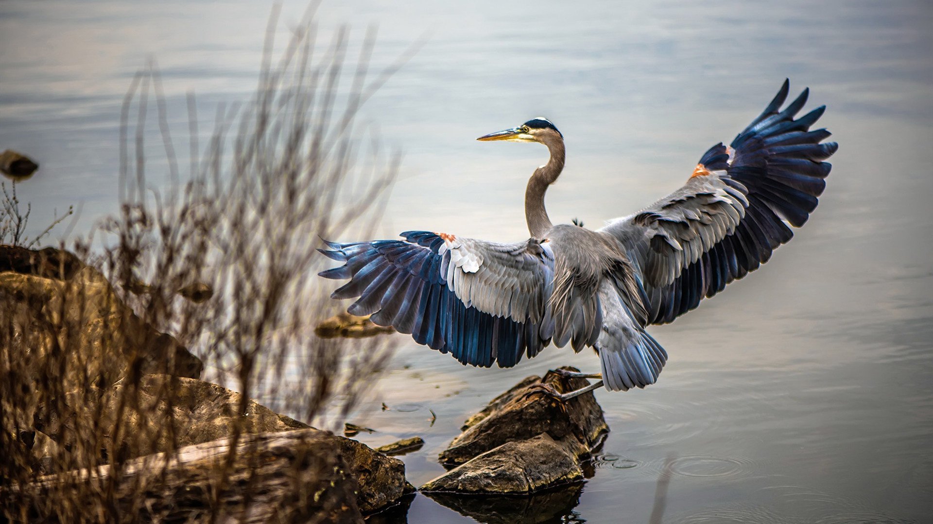 英超争冠决战：精彩对决不断，悬念无限！，英超比赛英超